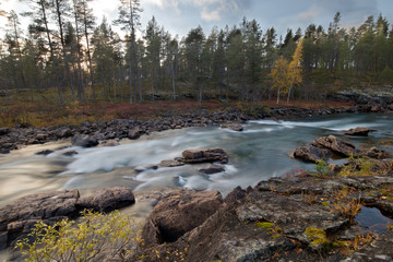 Autumn forest colors along rapids in river