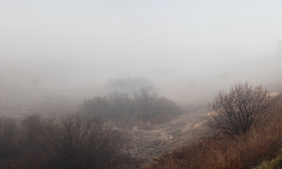 Obraz na płótnie Canvas Fog