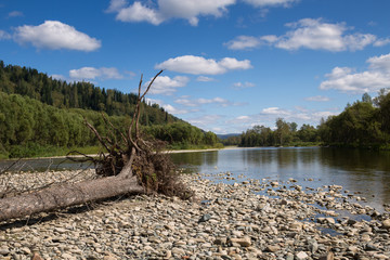 Fototapeta premium Mountain river