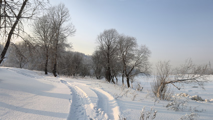 Obraz premium Winter landscape