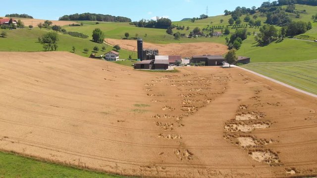 Toma a&eacute;rea sobre campo de trigo