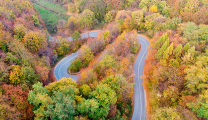 Fall Autumn foliage with winding road  