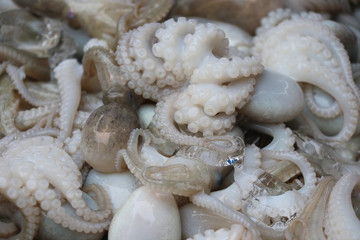 Fresh Octopus with ice in local market, raw material from underwater good taste from sea