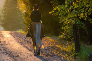 Woman horseback riding in sunset - obrazy, fototapety, plakaty