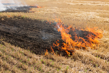 red hot fire on farmland, dry straw burns, toxic smoke, danger to the environment and people,...