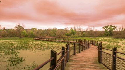 Perspective of a dramatic cloudy sky at sunset along a michigan preserve boardwalk in natural wilderness - Powered by Adobe