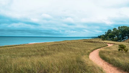 Fotobehang Duinen Dramatic landscape of lake michigan dunes and beach in New Buffalo Michigan  © Jennifer