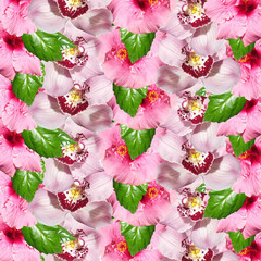 Obraz na płótnie Canvas Beautiful floral background of pink hibiscus and orchid. Isolated