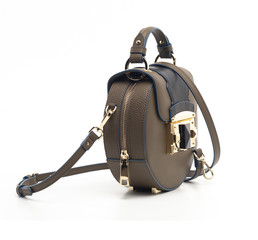 woman leather handbag isolated on white background