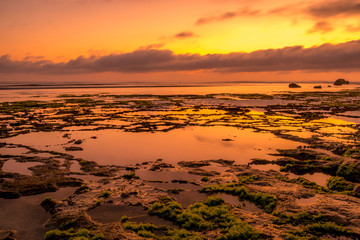 Seascape. Golden hour of sunset at the beach. Ocean low tide. Horizontal background banner. Nyang Nyang beach, Bali, Indonesia.