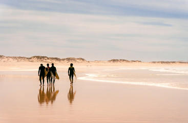 A group of surfers walks along the ocean beach. sunny.