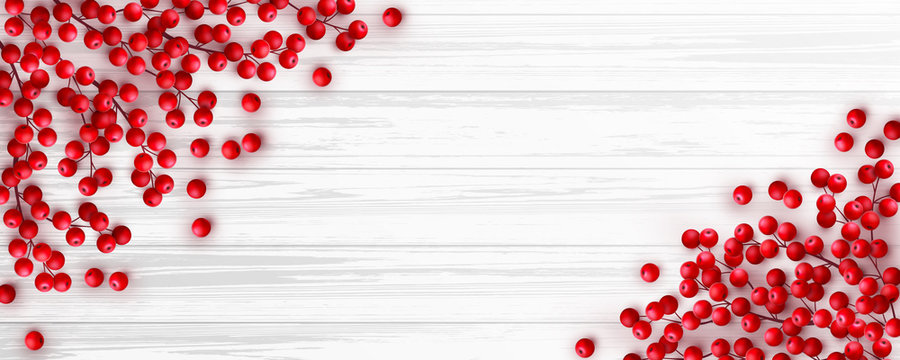 Christmas red holly berry on white wooden background