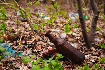 Rubbish left in the forest by holidaymakers