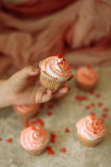 Girl holding a cupcake with pink cream on Valentine's day. The man gives a sweetness to the Valentine's day
