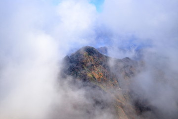 雲の中から姿を現す西黒森（高知県、愛媛県）