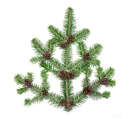 Immergr&uuml;ner Tannenzweig mit Tannenzapfen als Weihnschtsdekoration isoliert auf wei&szlig;em Hintergrund