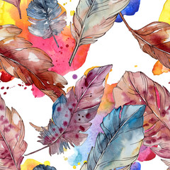 Colorful bird feather from wing isolated. Watercolor background illustration set. Seamless background pattern. © LIGHTFIELD STUDIOS