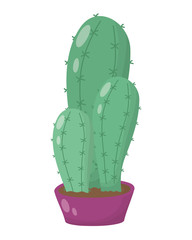 cactus mexican plant isolated icon
