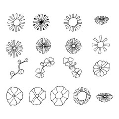 Set of graphic floral vector elements