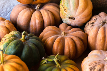 Pumpkin variety, edible pumpkins for cooking and Halloween squash