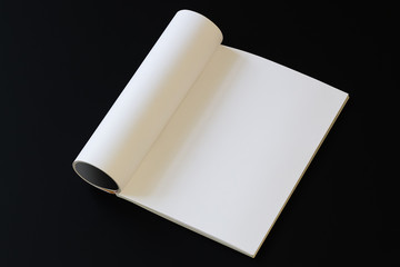 blank magazine mockup