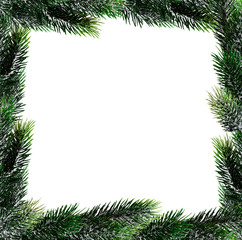Fototapeta na wymiar Immergrüner Tannenzweig als Weihnschtsdekoration isoliert auf weißem Hintergrund