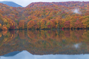 Towada Hachimantai National Park in autumn