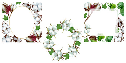 White cotton floral botanical flower. Watercolor background illustration set. Frame border ornament...