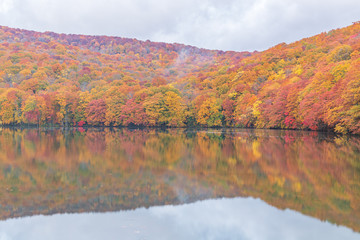 Towada Hachimantai National Park in autumn
