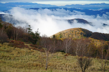 Fototapeta premium 美ヶ原高原の紅葉