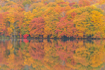 Towada Hachimantai National Park in autumn