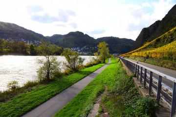 Weinberge an der Terassenmosel im Herbst
