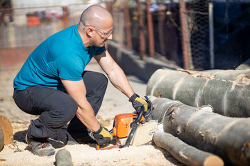 Man cut with saw. Dust and movements. Woodcutter saws tree with chainsaw on sawmill. lumberjack