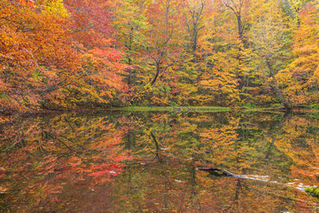 Naklejka premium Towada Hachimantai National Park in autumn