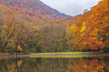 Towada Hachimantai National Park in autumn