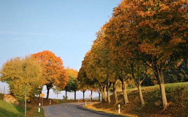 Naklejka premium Indian Summer