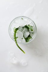 Aloe Vera leaves and pieces of ice on a white background