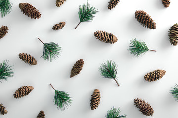 Pine cone and evergreen branch