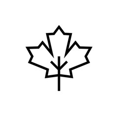 Maple leaf icon