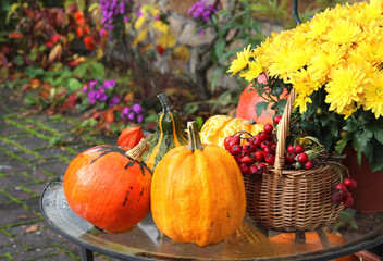 Halloween in the garden