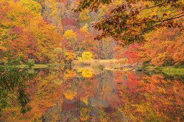 Towada Hachimantai National Park in autumn
