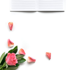 Bible flat lay with red/pink rose, pedals, open journal and open book on white background