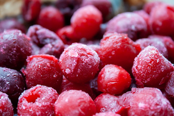 Closeup view on red, maroon and pink berries of frozen cherries with hoarfrost