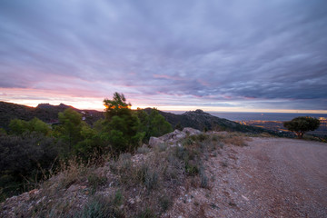 The orange blossom coast from the desert of palms at dawn, Benicassim