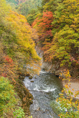 Towada Hachimantai National Park in autumn