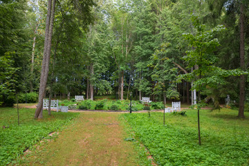 In the regular park on a summer day