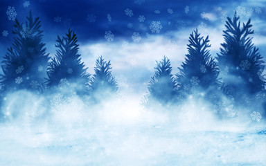 Fototapeta na wymiar Winter forest background. Snow, fog, moonlight. Winter landscape