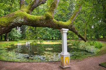 The stand supports an old oak on the shore of the Round pond  of the estate of the landowners Wulf. The village of Bernovo