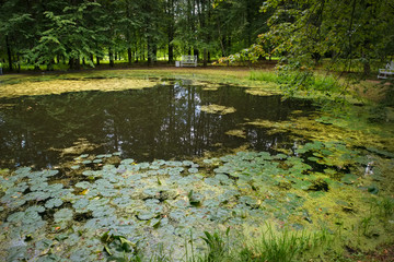 View on the Round pond  of the estate of the landowners Wulf. The village of Bernovo