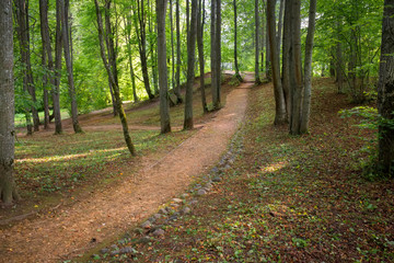 In the regular park on a summer day